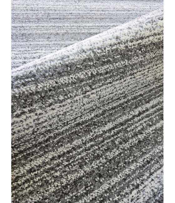 PARANA – PRS, SIVI